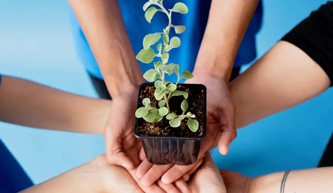13 Inspiring Ways Volunteers Are Needed in Your Community