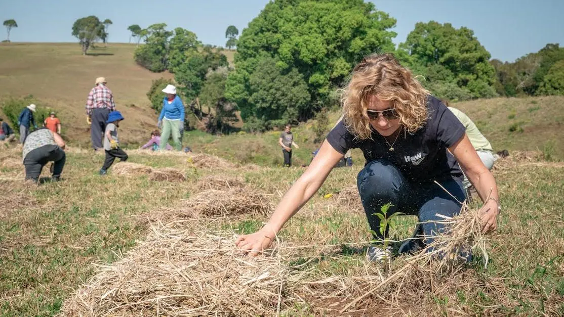 Group volunteering for tree planting in Australia, showcasing volunteer work opportunities in reforestation.