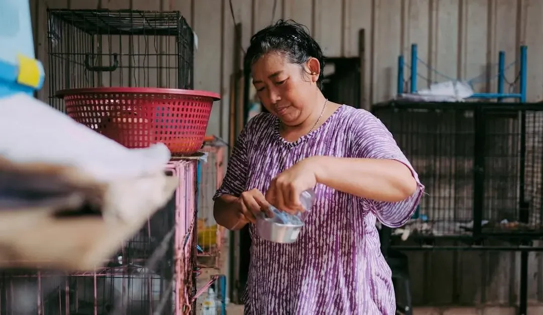 How to Start Volunteering with Animals: A Simple Guide