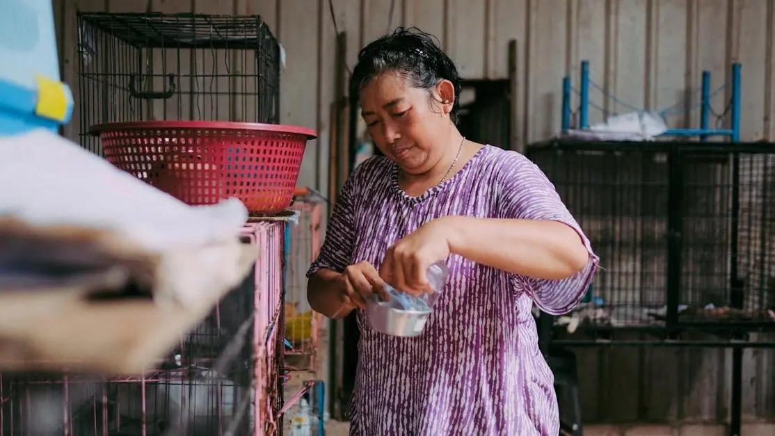 Woman volunteering with animals at an indoor shelter, feeding pets in cages