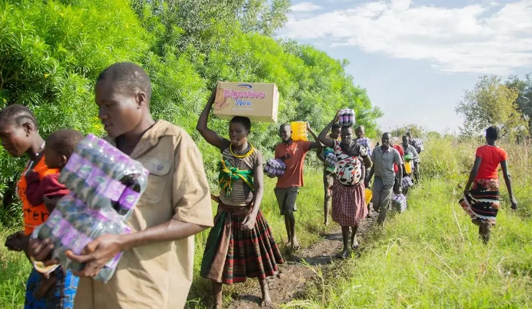 Non Profit Volunteer: How to Make an Impact Today