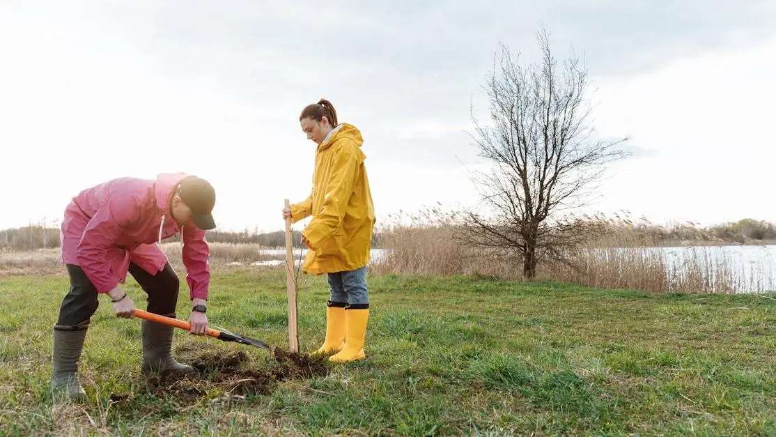 Volunteers planting trees by a lakeside, promoting environmental conservation to volunteer abroad free