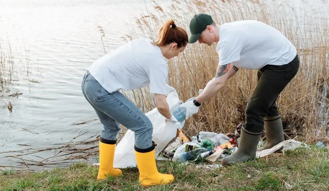 VSO Volunteer: How to Get Involved and Make Impact