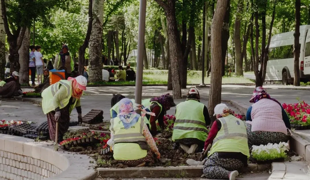 How to Make a Better Impact Volunteering in Your Community