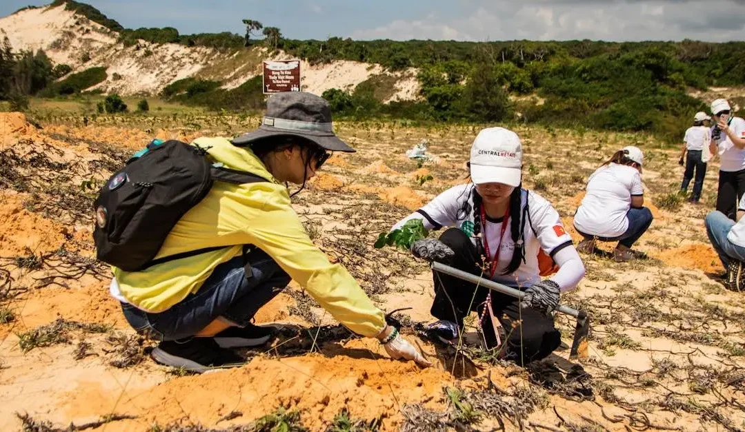 12 Inspiring International Volunteer Jobs for Global Impact
