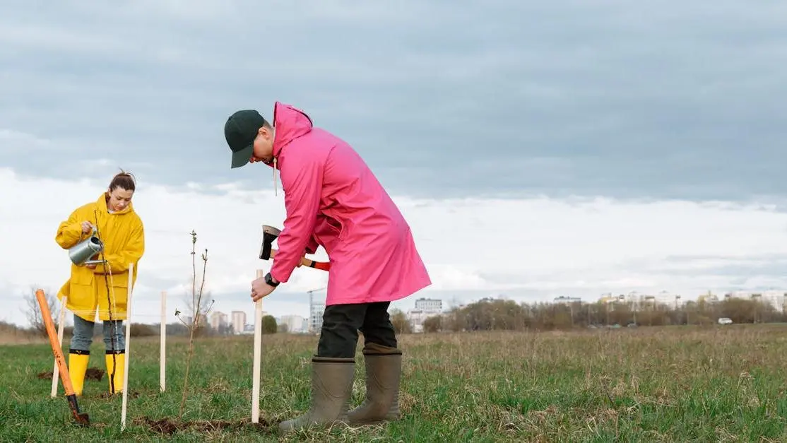 Youth and volunteering: two teens in colorful rain gear planting trees in a grassy field