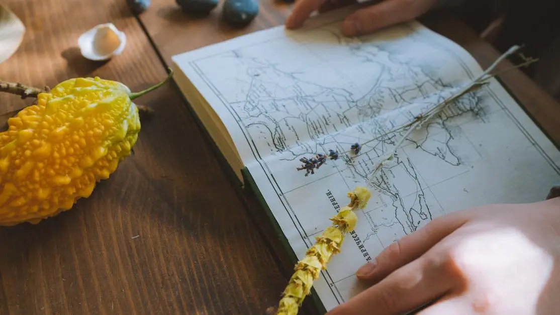 Hands browsing a botanical guide on a wooden table, reflecting environmental volunteering interests