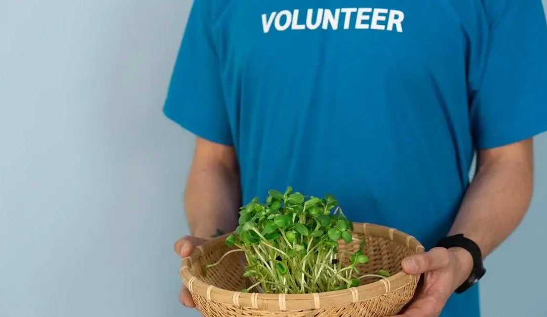 14 Inspiring Overseas Volunteer Opportunities for Impact