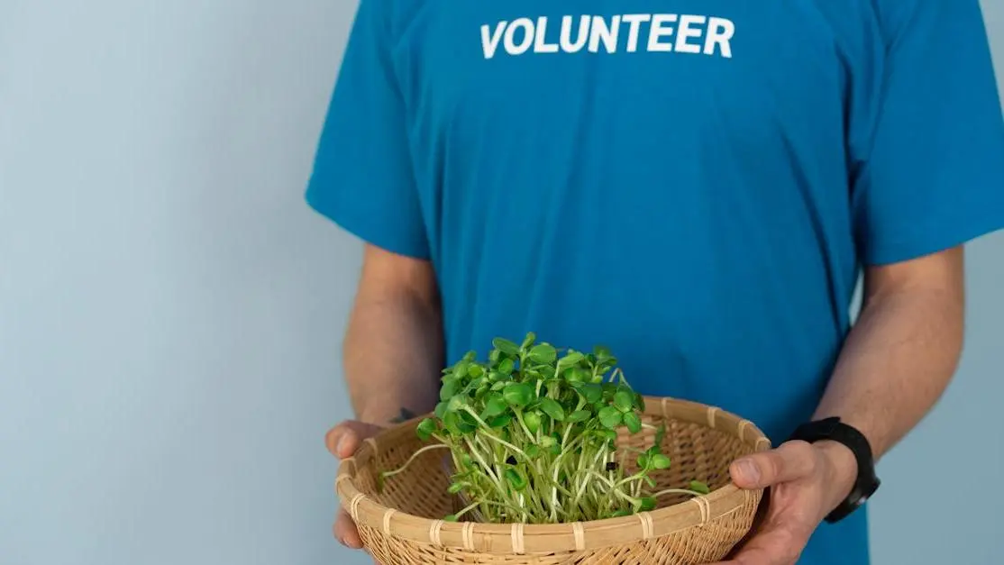 Volunteer in blue shirt holding basket of fresh sprouts, highlighting overseas volunteer opportunities
