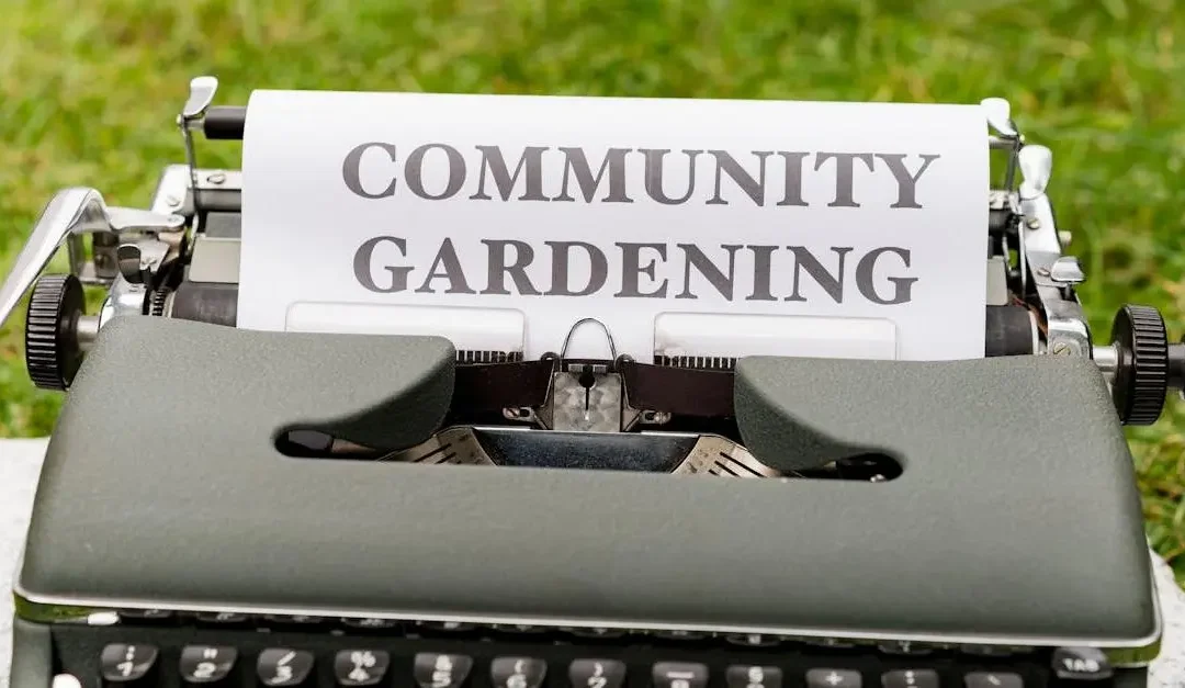 Start Social Service Volunteer Work for Local Impact