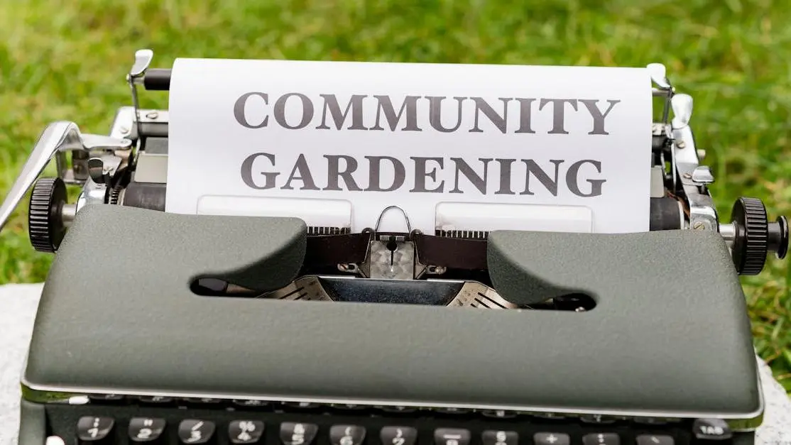 Social service volunteer work: vintage typewriter with community gardening message outdoors