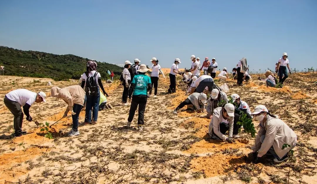 Volunteer for the Environment: Make a Real Impact