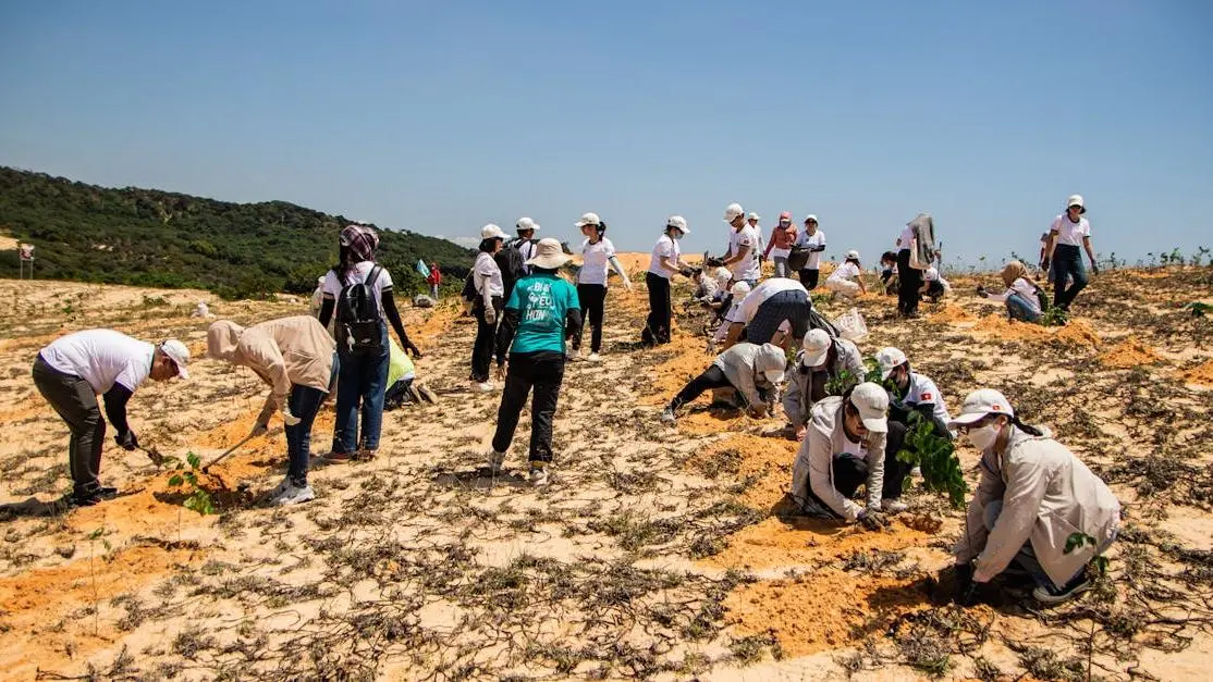 Volunteers plant saplings in Phan Thiết, Vietnam to volunteer for the environment