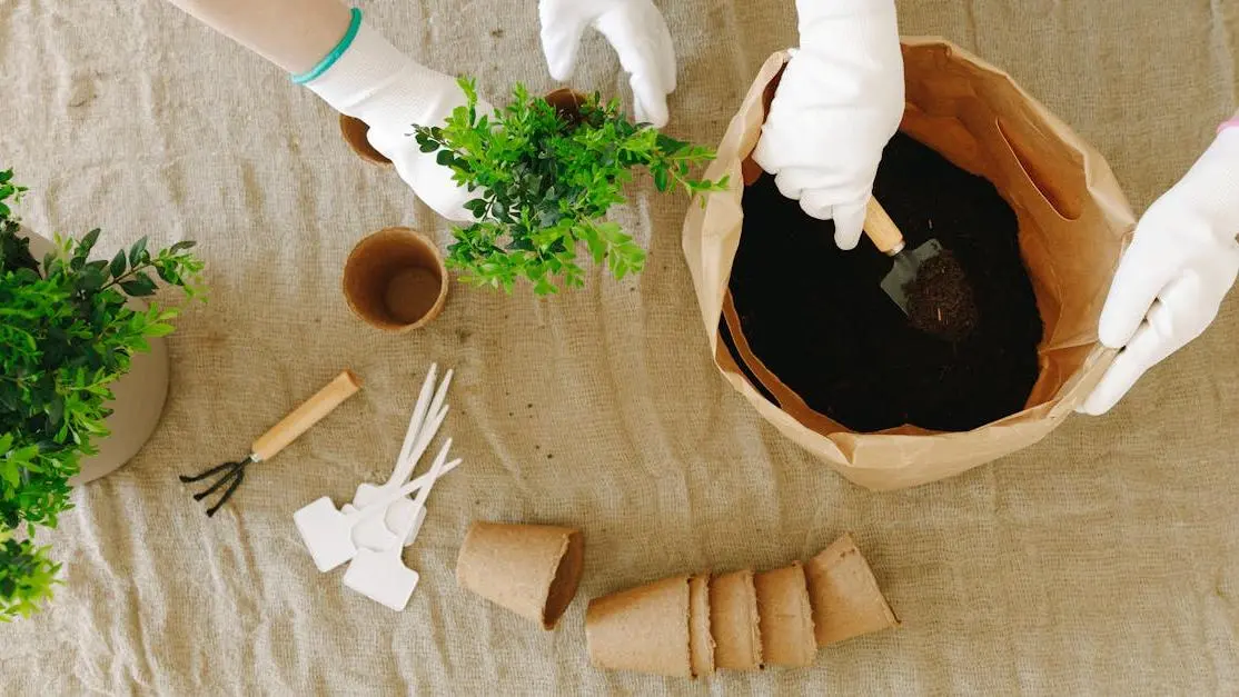Volunteers planting green bushes in paper bags, illustrating volunteer opportunities abroad