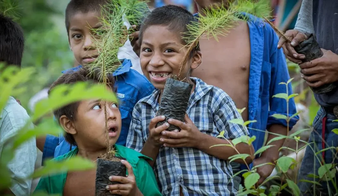 10 Inspiring Volunteering Holidays to Make a Difference