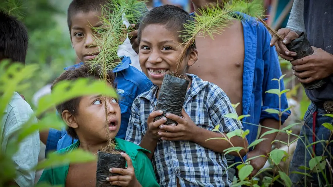 Children planting seedlings in a lush Guatemalan forest during volunteering holidays