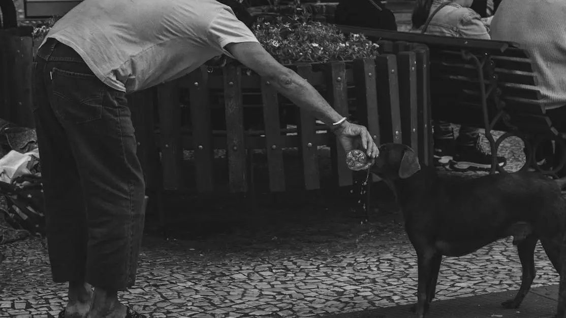 Man shares water with a dog on a busy city street, highlighting animal volunteer opportunities