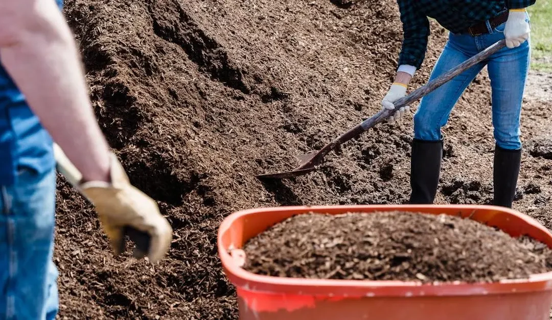 12 Not-for-Profit Volunteer Opportunities for Community Impact