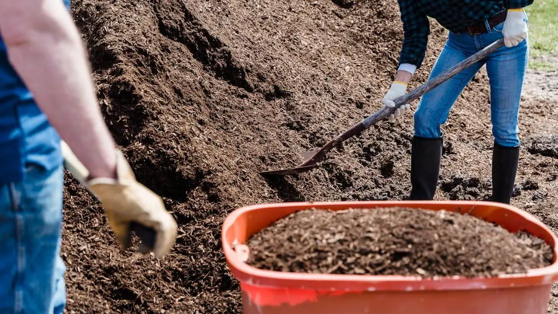 Volunteers shoveling soil into a wheelbarrow in a community garden—not for profit volunteer opportunities