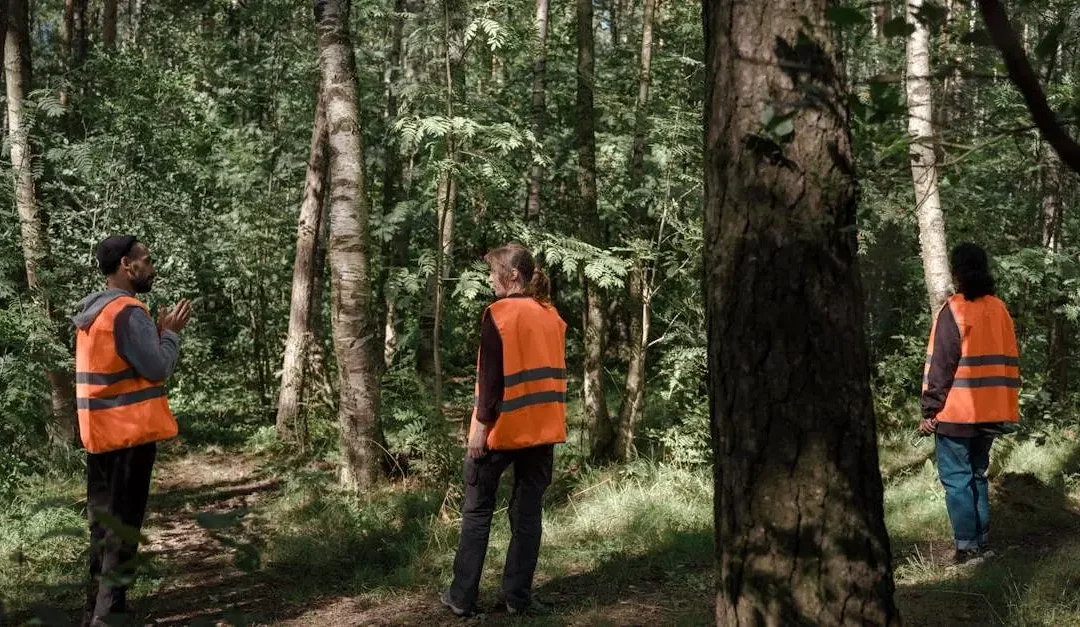 12 Inspiring Volunteer Jobs for Teens to Make a Difference
