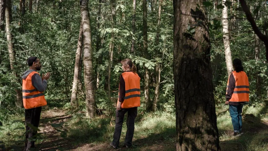 Teens in orange vests search a forest trail, illustrating volunteer jobs for teens outdoors