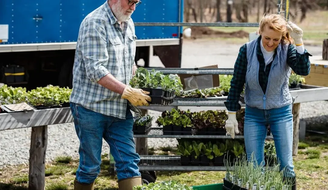 15 Inspiring Volunteer Opportunities for Seniors Near You