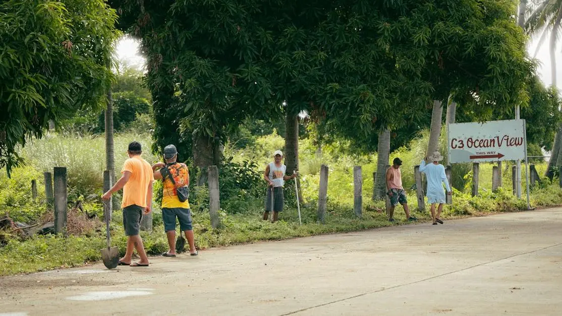 Community cleanup near C3 Ocean View—locals pitching in for volunteer opportunities in my area